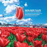 Logo Berliner Tulpe
