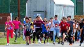 Die Flughafenkiezolympiade auf dem Tempelhofer Feld Bild: Jens Sethmann