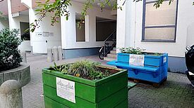 Diese Hochbeete in der Graunstraße suchen neue Paten – oder einen neuen Standort. Foto: Hensel
