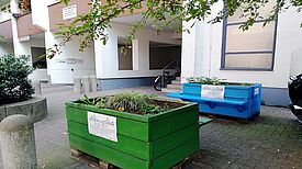 Diese Hochbeete in der Graunstraße suchen neue Paten – oder einen neuen Standort. Foto: Hensel