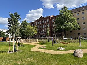 Parkähnliche Anlage mit frisch gepflanzten Bäumen, geschwungenem Kiesweg, einigen großen Steinen und einer Hängematte. Im Hintergrund ein rotes Backsteingebäude und ein helles Wohnhaus. Weiße Wolken vor blauem Himmel.
