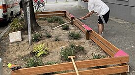 Baumscheiben dürfen im Bezirk Mitte jederzeit eigenständig bepflanzt werden, zu den Bedingungen und Vorgaben gibt es Informationen beim Straßen- und Grünflächenamt des Bezirks. (Bild: QM Pankstraße)