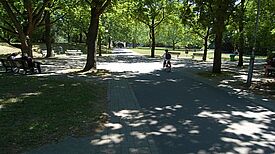 Ein Kind fährt auf einem Fahrrad durch einen Park mit Schatten spendenden Bäumen.