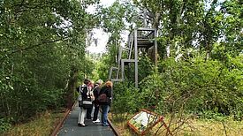 Die Teilnehmer und Teilnehmerinnen des Fotokurses während des Ausflugs im Natur-Park Schöneberger Südgelände. Bild: QM Schöneberger Norden