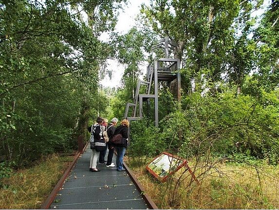 Die Teilnehmer und Teilnehmerinnen des Fotokurses während des Ausflugs im Natur-Park Schöneberger Südgelände. Bild: QM Schöneberger Norden
