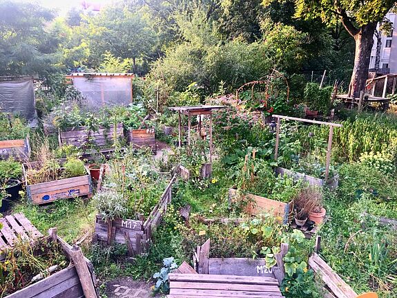 Der Prinzengarten ist ein Ort der Erholung und des nachbarschaftlichen Austauschs. (Bild: Johanna Sünnemann)