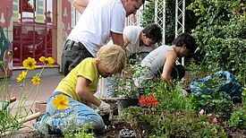 Nach einem Jahr konnte die Pflanzaktion im Kiez abgeschlossen werden. Bild: Jens Sethmann