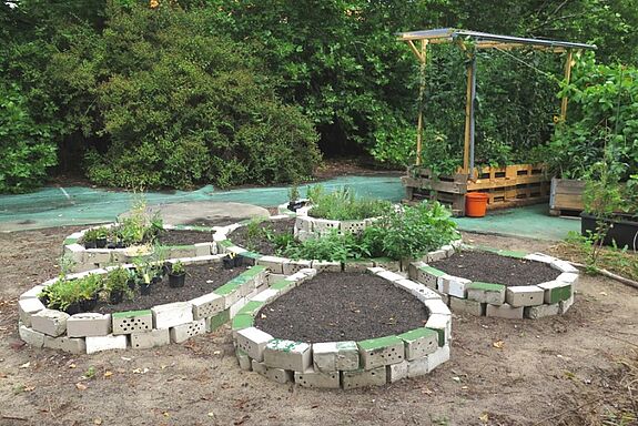Auf dem JuPoint-Gelände ist ein Gemeinschaftsgarten entstanden. (Bild: Julia Schonlau)