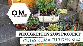 Die Nachbarschaft engagiert sich für grüne Oasen und ein besseres Klima im QM-Gebiet Glasower Straße. (Bild: QM Glasower Straße)