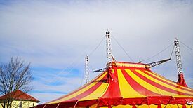 Der Kinder- und Jugendzirkus CABUWAZI in Altglienicke erstrahlt mit neuen Räumlichkeiten. Bild: CABUWAZI