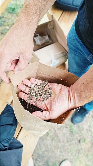Zwei Hände, die eine hält eine Papiertüte mit Saatgut, die andere zeigt das Saatgut auf der Handfläche.