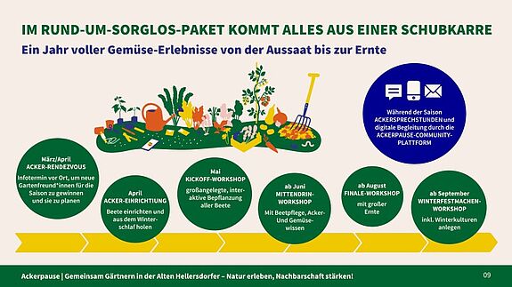 Eine Übersichtsgrafik des Projekts „Ackerpause“ mit Phasen von März bis September 2025, darunter Workshops, Beeteinrichtung und digitale Begleitung.
