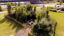 Ein Tiny Forest in Berlin: Diese kleinen Waldflächen tragen zur Biodiversität bei und verbessern das Stadtklima. (Bild: KARUNA eG – die Sozialgenossenschaft mit Familiensinn)