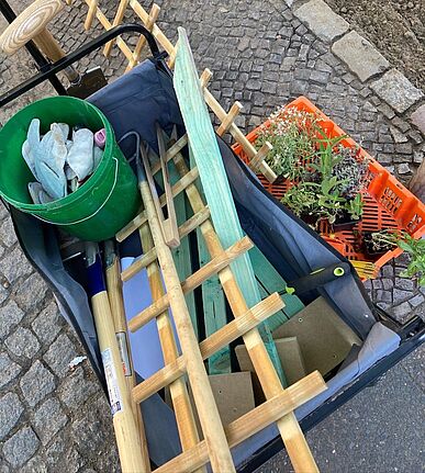 Alles ist bereit, um die Baumscheiben zu bepflanzen. (Bild: Johanna Sünnemann)