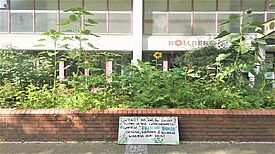 Das grüne Hochbeet im Rollbergviertel lädt auch zum Bestaunen und Mitmachen ein. (Bild: H. Heiland)
