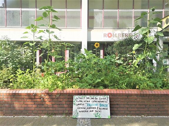 Das grüne Hochbeet im Rollbergviertel lädt auch zum Bestaunen und Mitmachen ein. (Bild: H. Heiland)