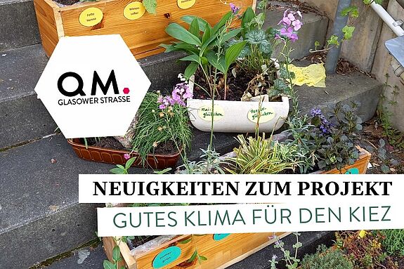 Die Nachbarschaft engagiert sich für grüne Oasen und ein besseres Klima im QM-Gebiet Glasower Straße. (Bild: QM Glasower Straße)