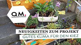 Die Nachbarschaft engagiert sich für grüne Oasen und ein besseres Klima im QM-Gebiet Glasower Straße. (Bild: QM Glasower Straße)