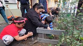 Die Baumscheiben wurden von den Kindern neu bepflanzt. Bild: Birgit Leiß