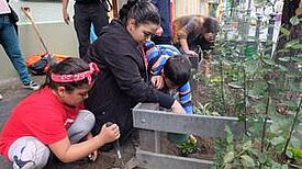 Die Baumscheiben wurden von den Kindern neu bepflanzt. Bild: Birgit Leiß