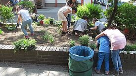 Kinder verschönern Pflanzenbeete in der Steinmetzstraße. Bild: gruppeF, QM, Nachbarschaftszentrum Steinmetzstraße