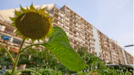 Foto: Felix Zimmermann / QM Schöneberger-Norden