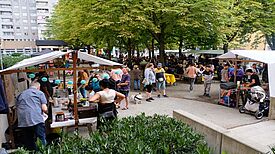 Der Kastanienplatz füllte sich beim Markt der Akteure mit bunten Marktständen und gut gelaunten Besucherinnen und Besuchern. (Bild: QM Wassertorplatz)