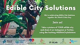 Mitmachen ist ganz einfach: Teilen Sie noch bis zu 12. November 2021 ein Bild von Lösungen der Essbaren Stadt vor Ort auf Ihrem Twitter- oder Instagram-Profil und markieren Sie es mit dem Hashtag #EdibleCitySolutions.  (Bild: EdiCiNet)