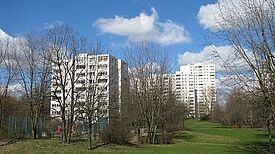 Das Programm für Nachhaltige Entwicklung (BENE) ist gestartet Foto: QM Weiße Siedlung Dammweg