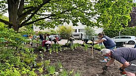 Mehrere Menschen bepflanzen gemeinsam unter einer großen Eiche ein neues Blumenbeet mit jungen Pflanzen.