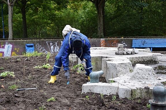 Viele Freiwillige halfen bei der Bepflanzung des Rondells am Eingang des Boulevards. Hier entstand ein „Büffet für Fledermäuse“, mit Pflanzen für nachtaktive Insekten und Nistkästen. Bild: QM Boulevard Kastanienallee