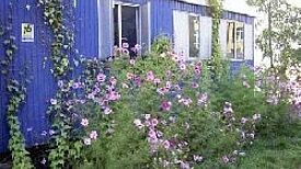 Natur erleben im Kids‘ Garden. Foto: Stefanie Pfau