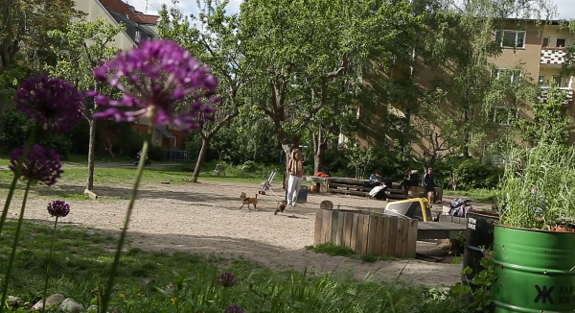 Eine grüne Oase vom Frühling bis Herbst: der Gemeinschaftsgarten Karma Kultur. Standbild aus dem Film „10 Jahre QM Ganghofer Straße“ von Benjamin Riehm