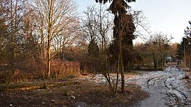 Bisher war das Betreten des ehemaligen St. Thomas Friedhof im Schillerkiez verboten. Bild: QM Schillerpromenade