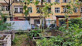 In Kooperation mit der Parzelle X ist das Freilandlabor Träger des Quartiersmanagement-Projekts „Schulgärten in der Bildungslandschaft Flughafenkiez“ und schafft grüne Lernorte. (Bild: Birgit Leiß)