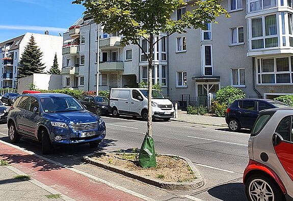 Besonders junge Bäume brauchen an heißen Sommertagen Wasser. (Bild: QM Auguste-Viktoria-Allee) 