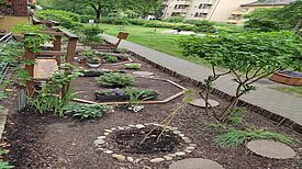 Der Projektgarten in der Bärensiedlung erstrahlt nach der Renovierung mit neuer Bepflanzung. (Bild: lw 2024, Antragsteller)