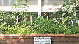 Das grüne Hochbeet im Rollbergviertel lädt auch zum Bestaunen und Mitmachen ein. (Bild: H. Heiland)