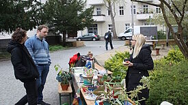 Egal ob Chili, Dill oder Bohnenkraut: An einem Stand zur Pflanzaktion konnten Interessierte allerlei Saatgut und Pflanzen tauschen. (Bild: QM Beusselstraße)
