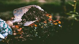Im Rahmen des Projekts „Stadtnatur mitgestalten“ werden Freiwillige gesucht, die beim Anlegen des neuen Gemeinschaftsgartens helfen. (Bild: Pexels/Lisa Fotios)