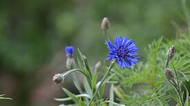 Das Siegermotiv des Foto-Wettbewerbs. Foto: Theresa Rüster