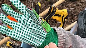 Im QM-Gebiet Glasower Straße sammelten Anwohnende gemeinsam Müll auf. (Bild: Regina Friedrich)