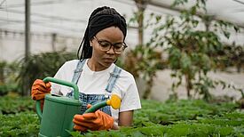 Interessierte können in dem Online-Kurs lernen, wie sie das Konzept der „Edible Cities“ in ihrer Gemeinschaft umsetzen können. (Bild: Pexels / Tima Miroshnichenko)