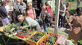 Der Rundgang durch das Quartier Harzer Straße führte auch in den Gemeinschaftsgarten. (Bild: Jens Sethmann) 