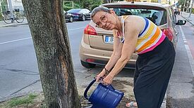 Quartiersrätin Annette Mohr hat diesen Sommer im QM eine Aktion zum Bäume gießen ins Leben gerufen. (Bild: QM Auguste-Viktoria-Allee)