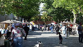 Straßenfest mit Ständen und vielen Menschen unter Bäumen, die gemeinsam Musik, Essen und Spiele genießen.
