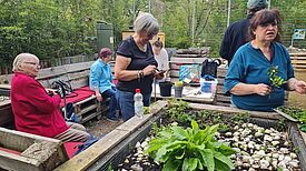 Ein Gruppe von Menschen stehen und sitzen in einem Garten mit Hochbeeten. Sie arbeiten an den Pflanzen und unterhalten sich.  