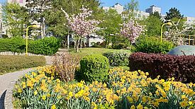 Frühlingsimpressionen aus dm Quartier High-Deck-Siedlung/ Sonnenallee Süd. Bild: QM High-Deck-Siedlung/ Sonnenallee Süd/W+P GmbH