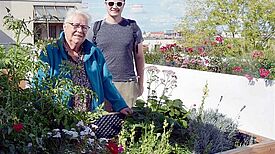 Dachgarten Graunstraße. Foto: Michael Becker, QM Brunnenviertel-Brunnenstraße