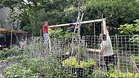Vier Personen bauen in einem Garten eine Holzkonstruktion, im Vordergrund sind Hochbeete mit Pflanzen und einem Ranknetz zu sehen.